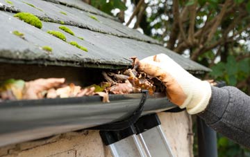 gutter cleaning Witton