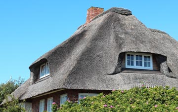 thatch roofing Witton