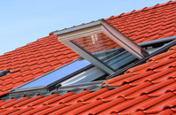 Witton roof window